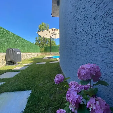 Vista *